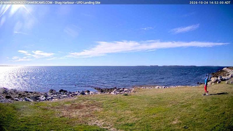 Shag Harbour