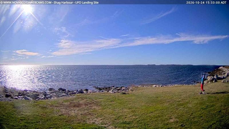 Shag Harbour