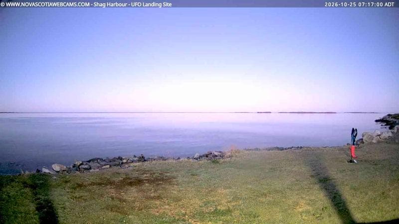 Shag Harbour
