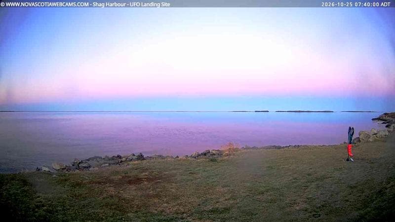 Shag Harbour