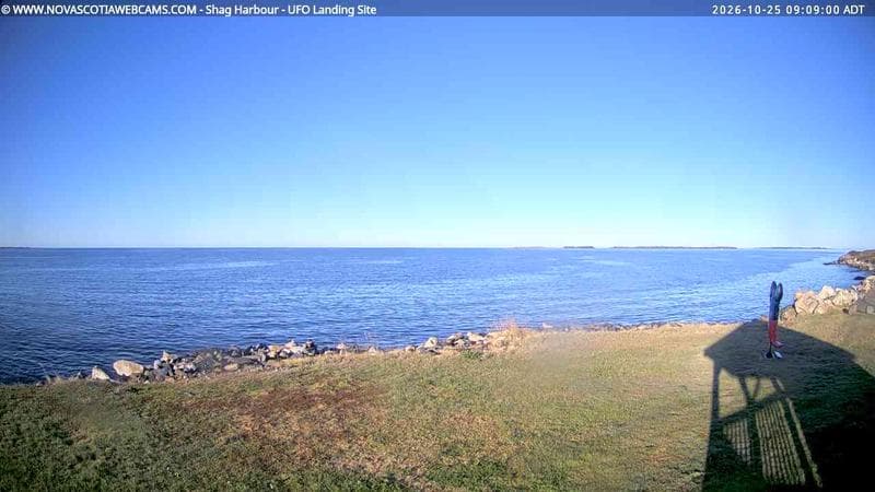 Shag Harbour