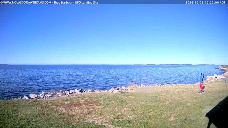 Shag Harbour