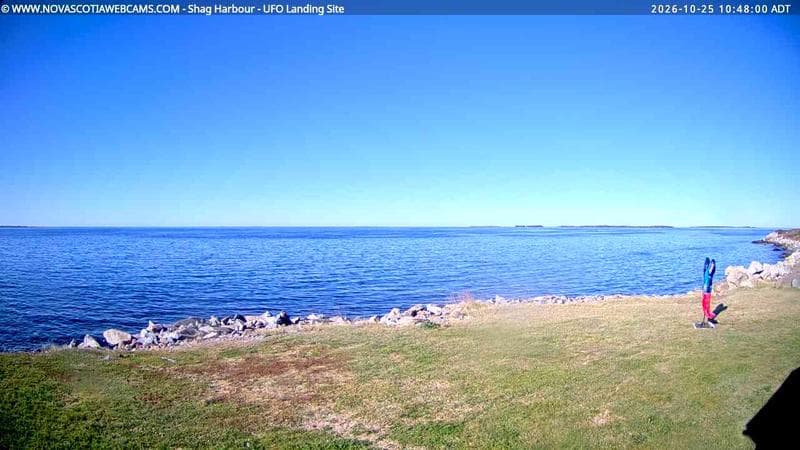 Shag Harbour