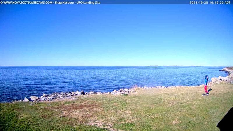 Shag Harbour