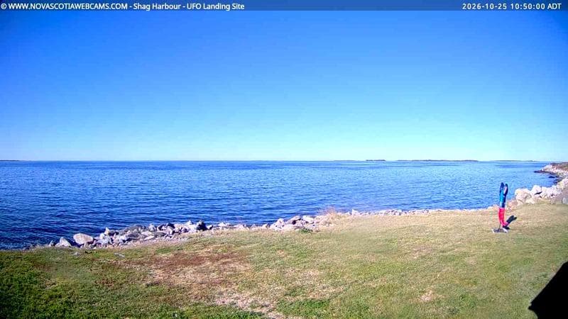 Shag Harbour
