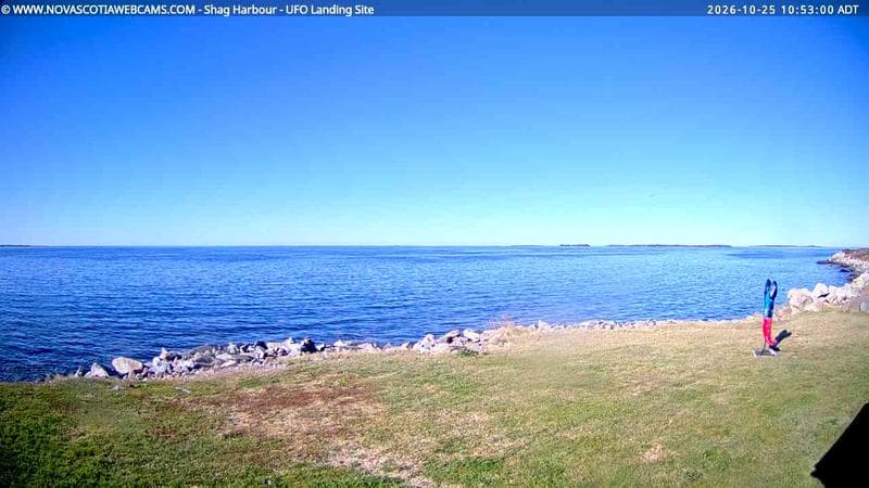 Shag Harbour