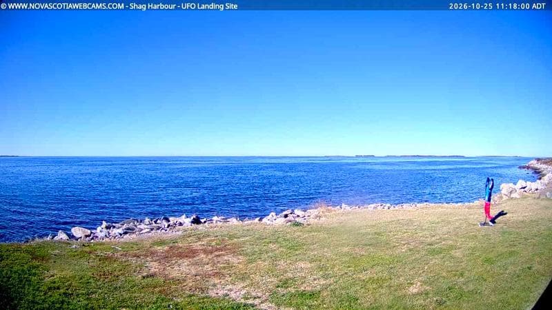 Shag Harbour