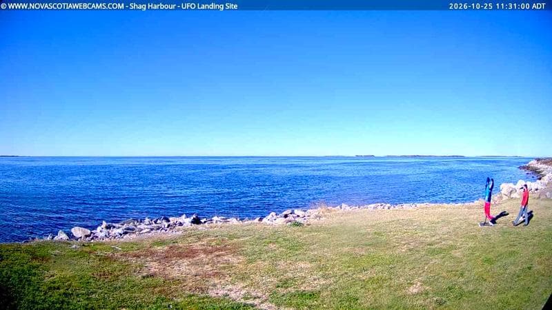 Shag Harbour