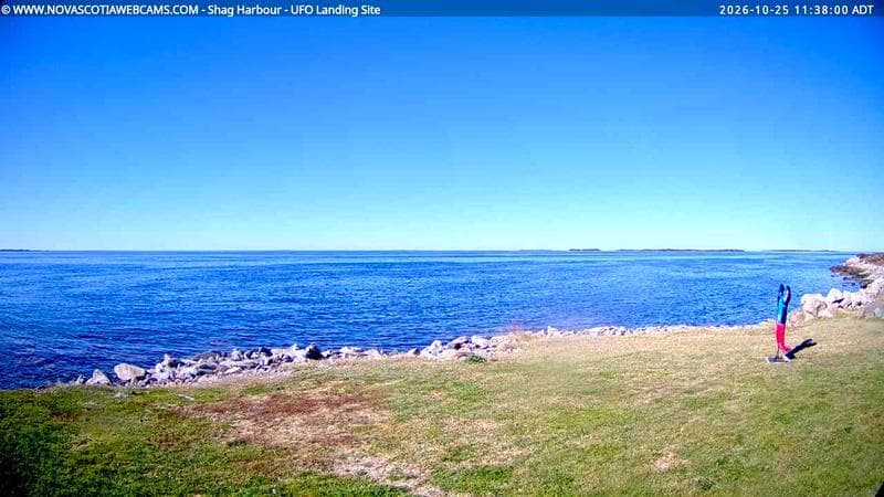 Shag Harbour