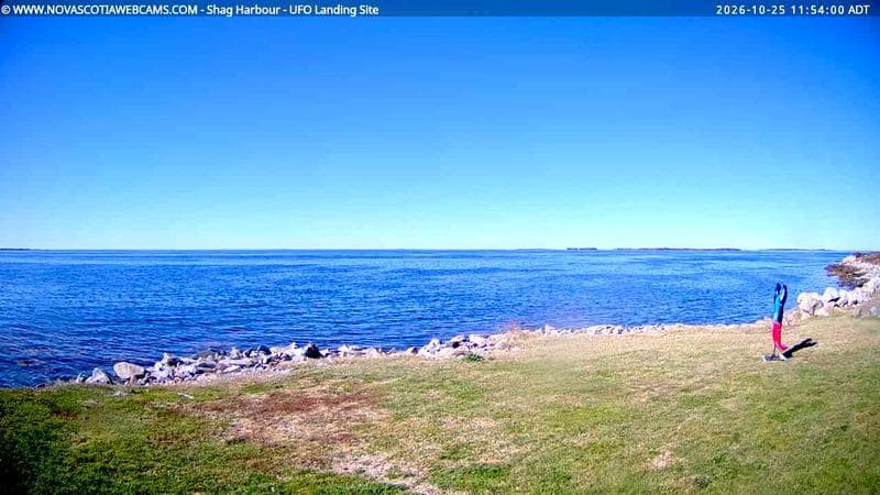 Shag Harbour