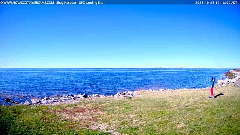 Shag Harbour