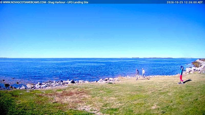 Shag Harbour