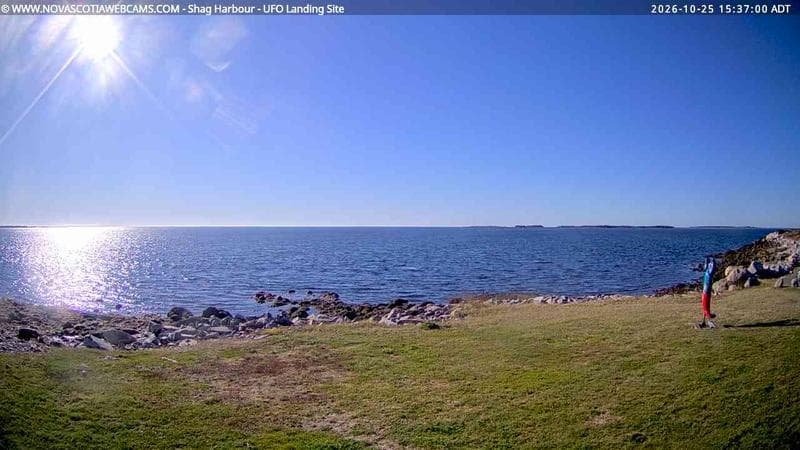 Shag Harbour