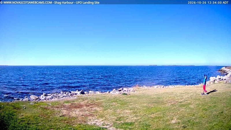 Shag Harbour