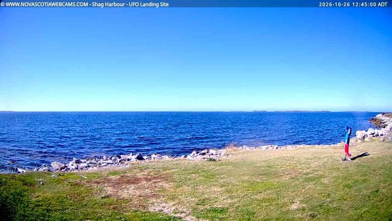 Shag Harbour