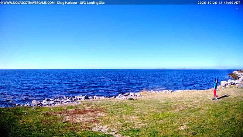 Shag Harbour