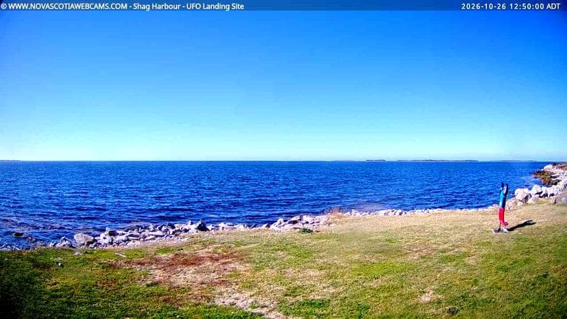 Shag Harbour