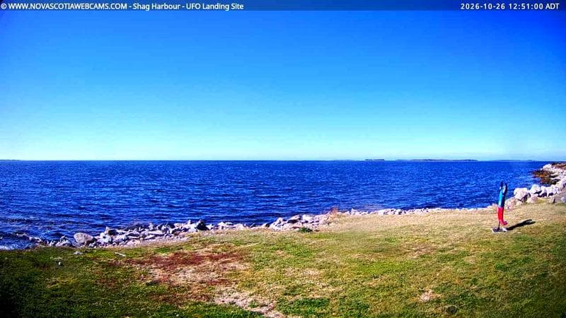Shag Harbour