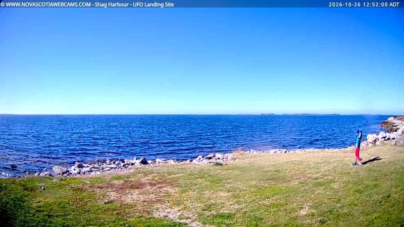 Shag Harbour
