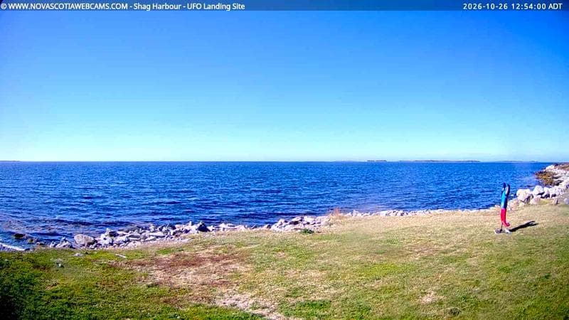 Shag Harbour