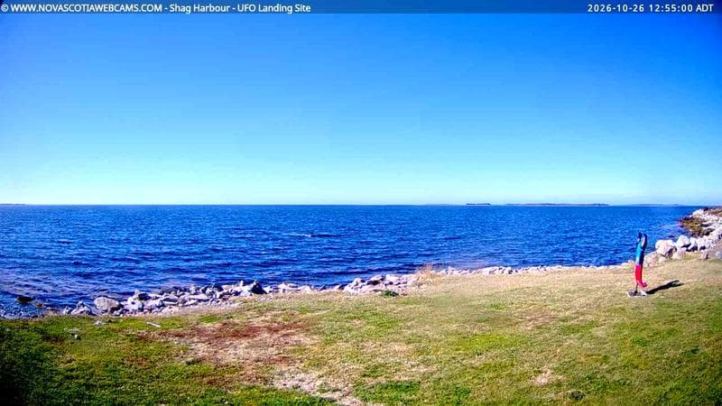 Shag Harbour