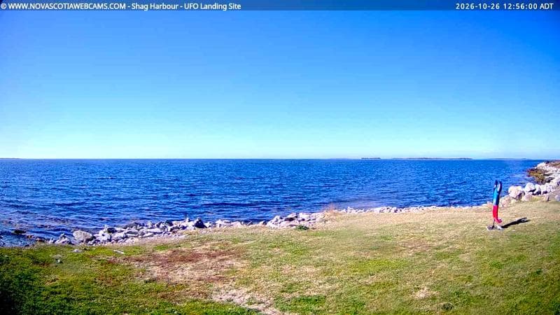 Shag Harbour