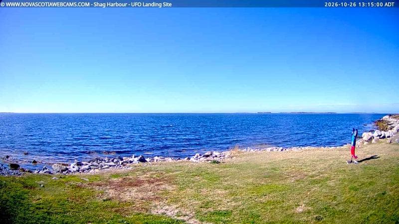 Shag Harbour