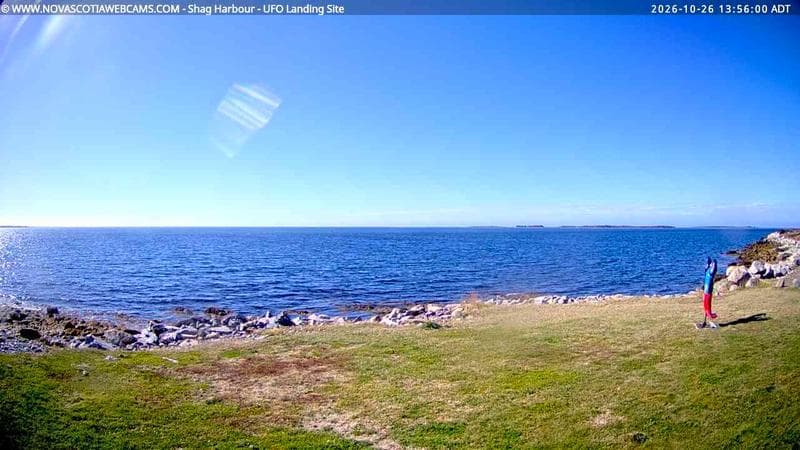 Shag Harbour