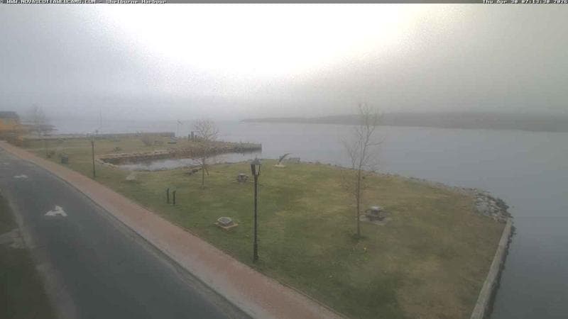 Shelburne Harbour
