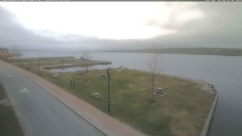 Shelburne Harbour
