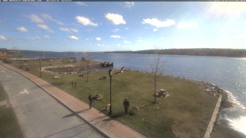Shelburne Harbour