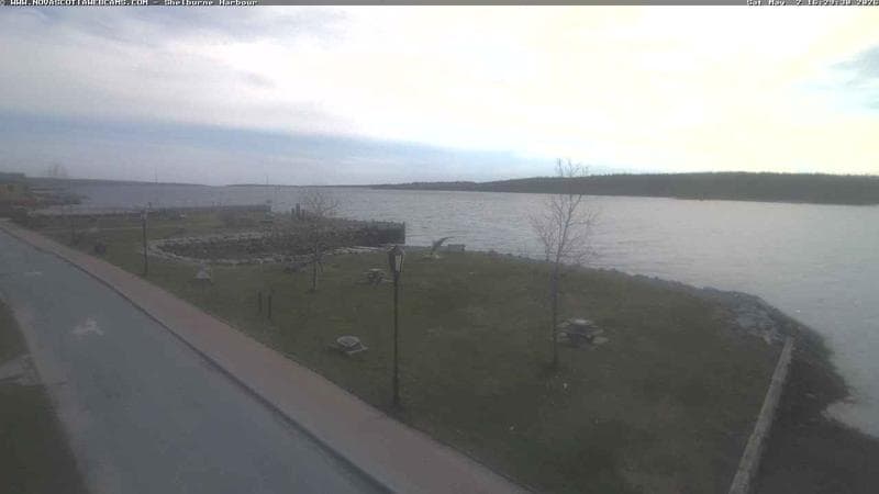 Shelburne Harbour