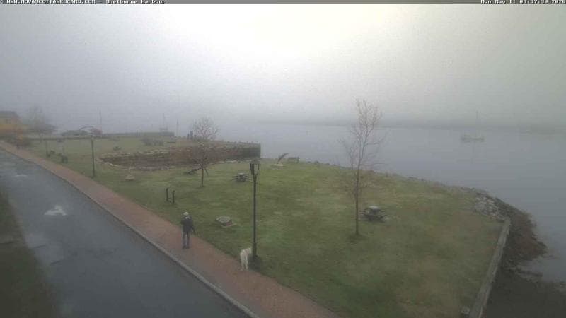 Shelburne Harbour
