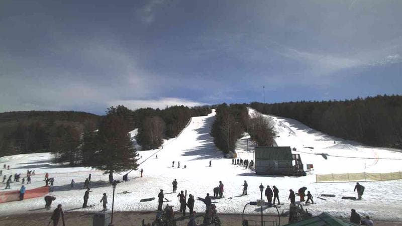 Ski Martock