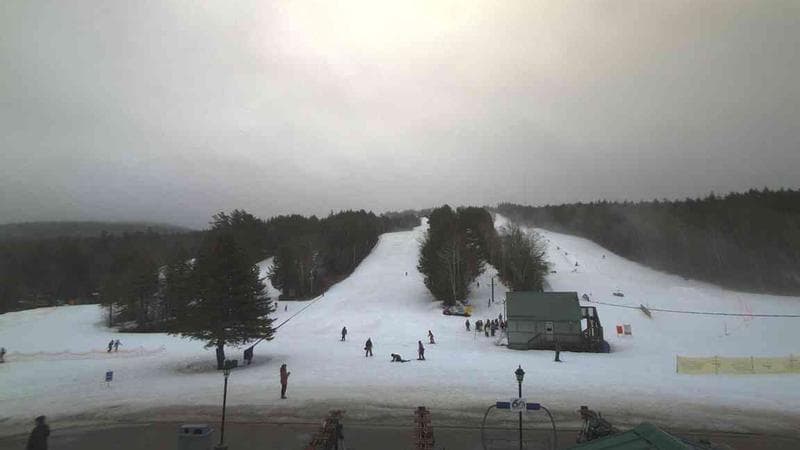 Ski Martock