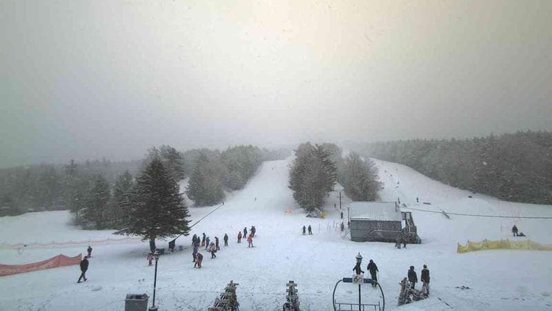 Ski Martock