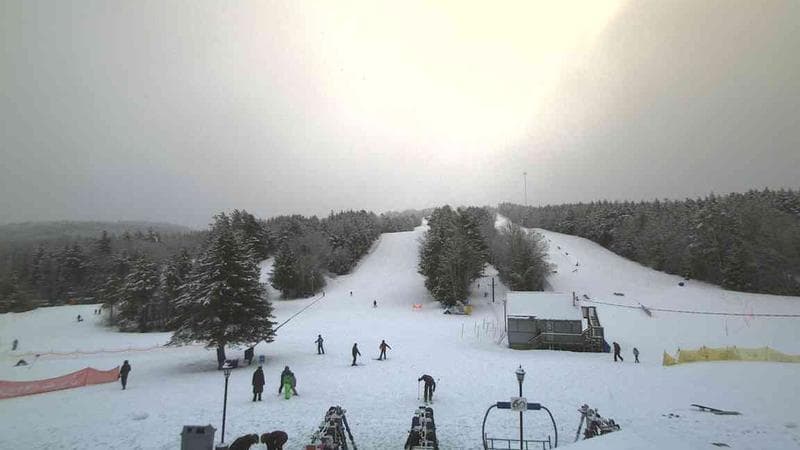 Ski Martock