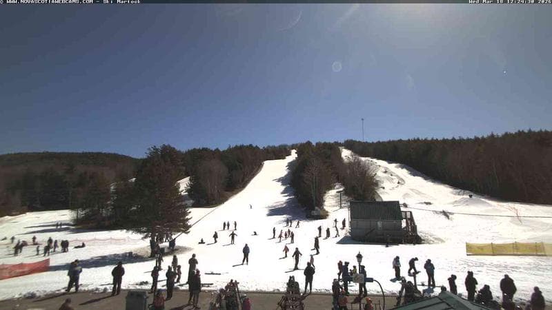 Ski Martock