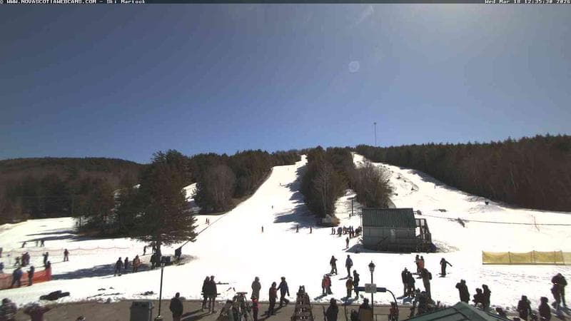 Ski Martock