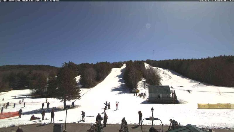 Ski Martock