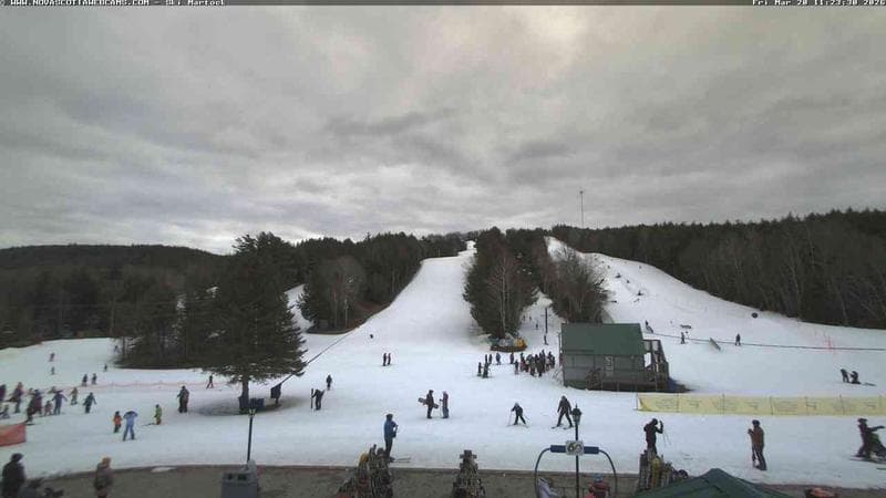 Ski Martock