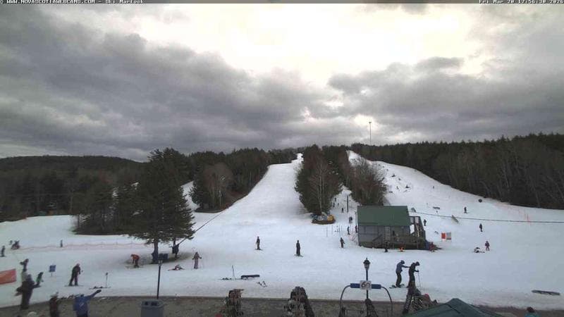 Ski Martock