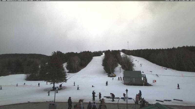 Ski Martock