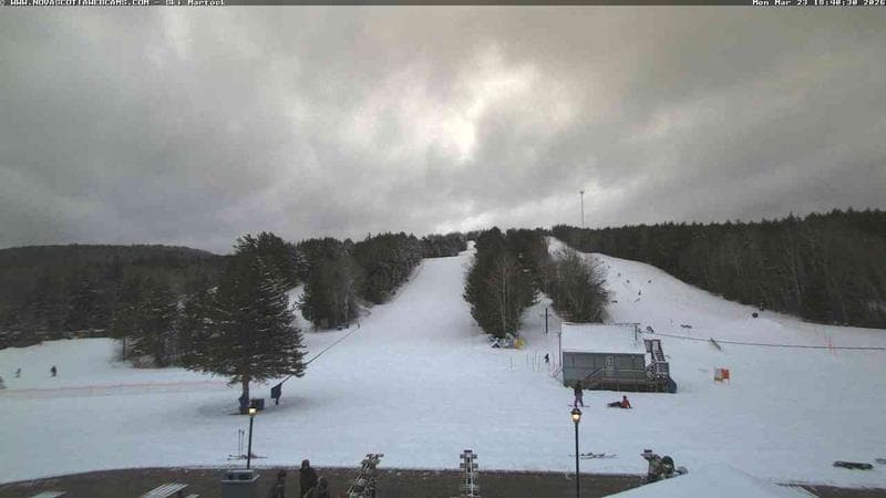 Ski Martock