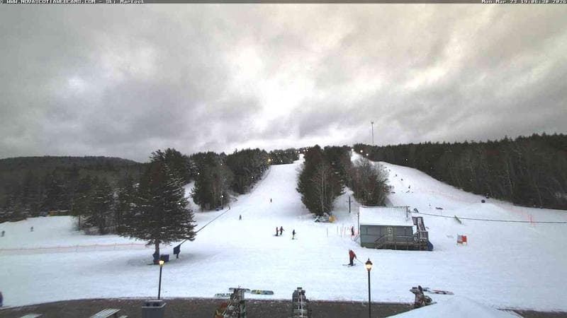 Ski Martock
