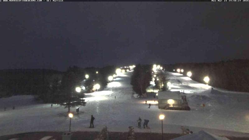 Ski Martock