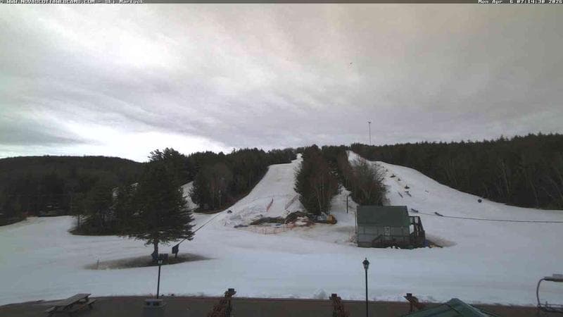 Ski Martock