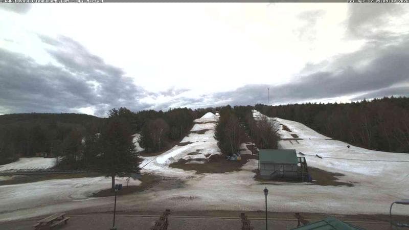 Ski Martock