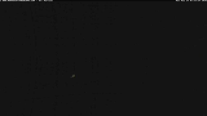Ski Martock