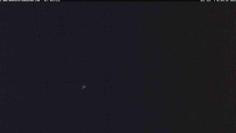 Ski Martock